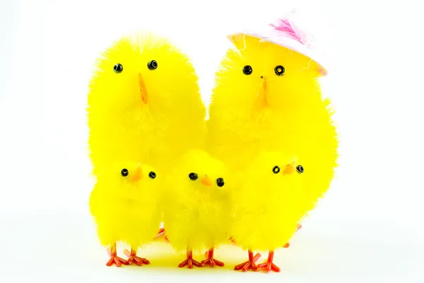 Familia de pollitos de Pascua —  Fotos de Stock