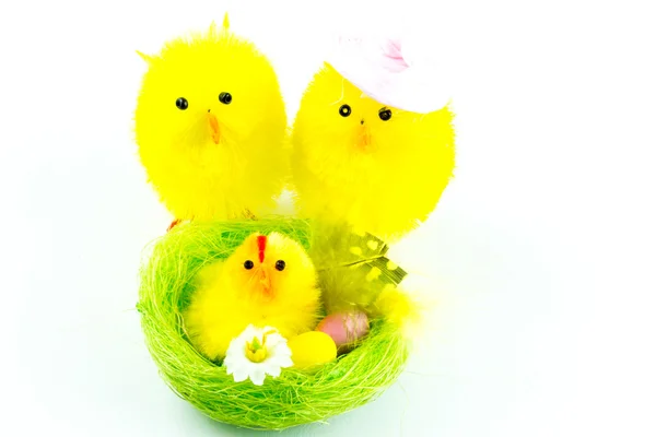 Velikonoční mláďata rodina — Stock fotografie