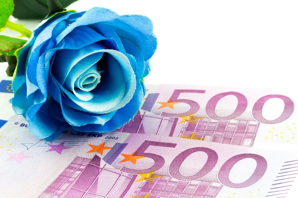 Geld und blaue Rose — Stockfoto