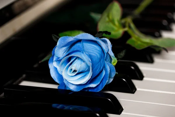 Blauwe roos op een piano — Stockfoto