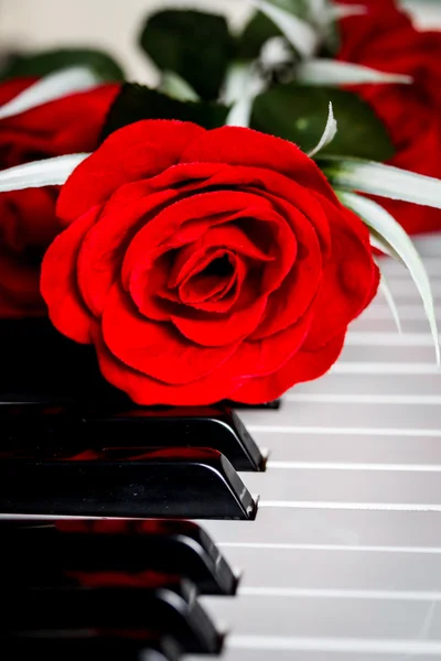 Red rose on a piano — Stockfoto