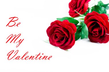 Beyaz arkaplanda güller