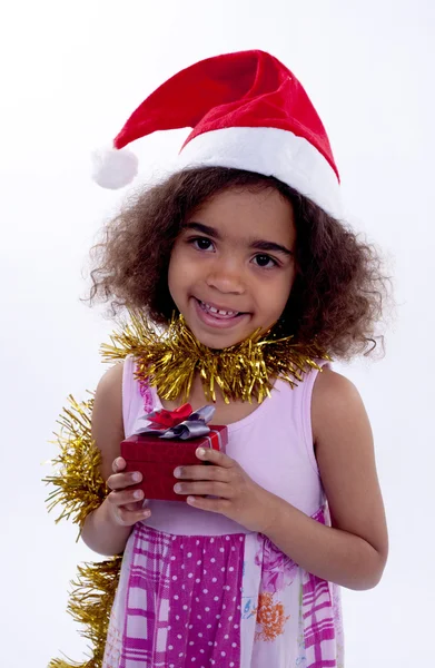 Little Xmas South African — Stock Photo, Image