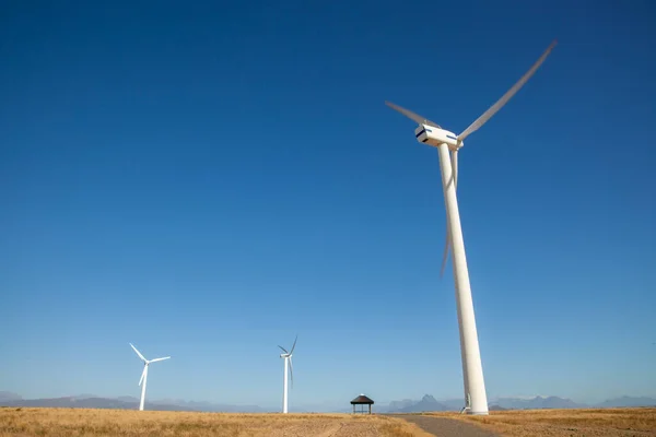 Turbina Wiatrowa Polu Pszenicy Zachodnim Przylądku Rpa Wykorzystywana Wytwarzania Czystej — Zdjęcie stockowe