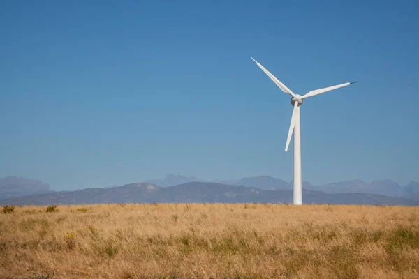 Turbina Wiatrowa Polu Pszenicy Zachodnim Przylądku Rpa Wykorzystywana Wytwarzania Czystej — Zdjęcie stockowe