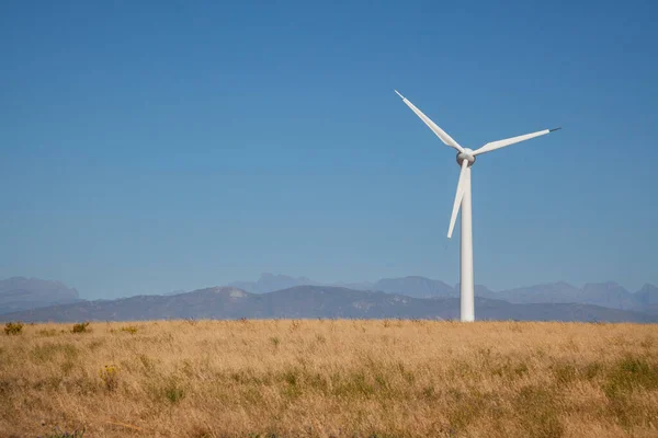 南アフリカの西ケープ州にある小麦畑の風力タービンは 国家グリッドのクリーンエネルギーを発生させるために使用されます ロイヤリティフリーのストック画像