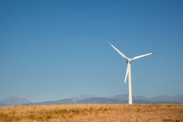 Turbina Eólica Campo Trigo Western Cape Sudáfrica Utilizada Para Generar Imagen De Stock