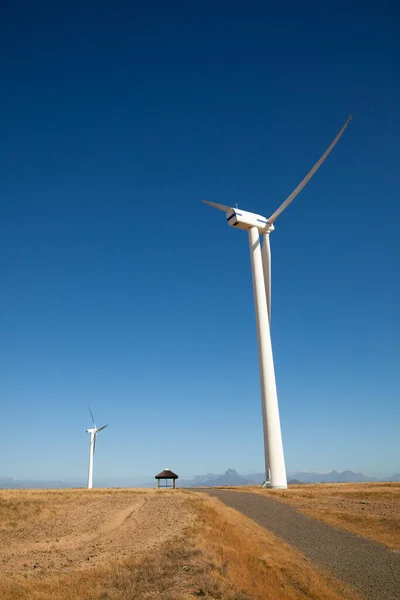 Větrná Turbína Pšeničném Poli Západním Mysu Jihoafrická Republika Používaná Výrobě Stock Fotografie
