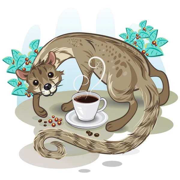果子狸咖啡麝香猫咖啡 — 图库矢量图片