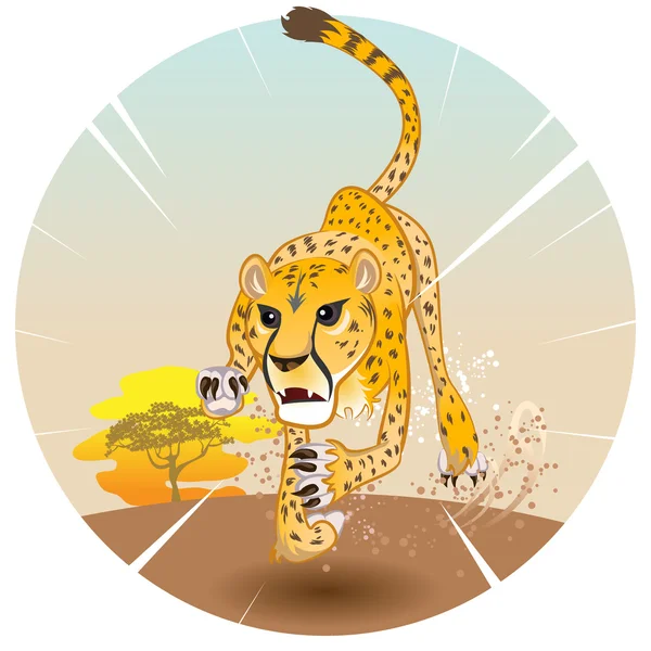 Cheetah koning van snelheid — Stockvector