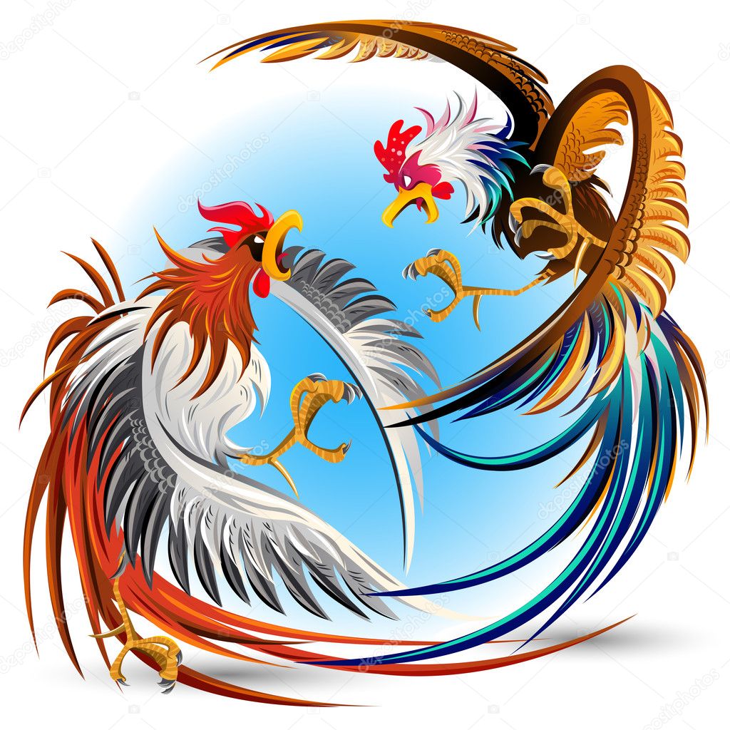 gallos de pelea de gallos — Vector de stock © brancaescova #30015805