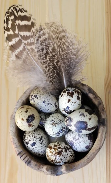 Spotted Quail Eggs — Stock Photo, Image
