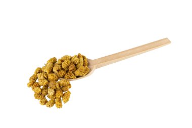 Beyaz arka planda izole edilmiş tahta kaşıkta kurutulmuş beyaz dut meyvesi - latin Morus alba. Baharatlar ve yemek malzemeleri..