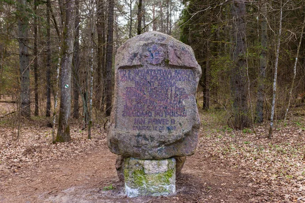 Polonya 'nın Roztochia bölgesindeki Zwierzyniec' teki Beech Mountain Reserve 'den geçen yol Polonya' nın Bukowa Gora bölgesinde..