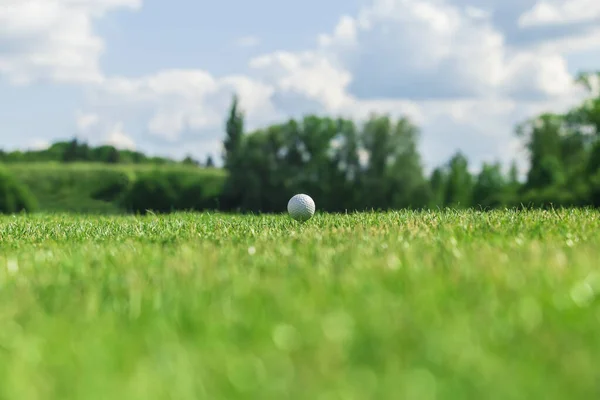 Golf Spielen Golfplatz Golf Ball — Stockfoto