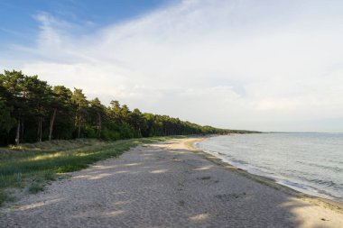 beautiful view of the sea coast with green trees