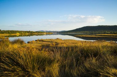 Sabah göl manzarası çok güzel.