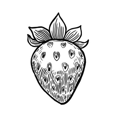 Beyaz arkaplanda el çizimi çilek vektör çizimi izole