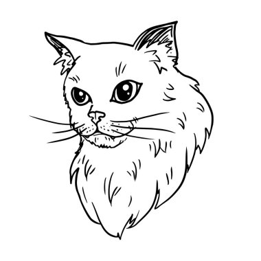 Kedi çizimi vektör çizimi beyaz arkaplanda izole edildi