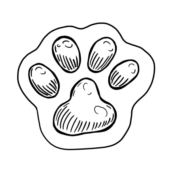 Pet Paw Vector Illustration White Background — Stock Vector