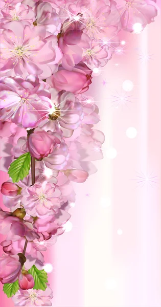 Japon kiraz çiçeği