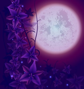 gece flowers02