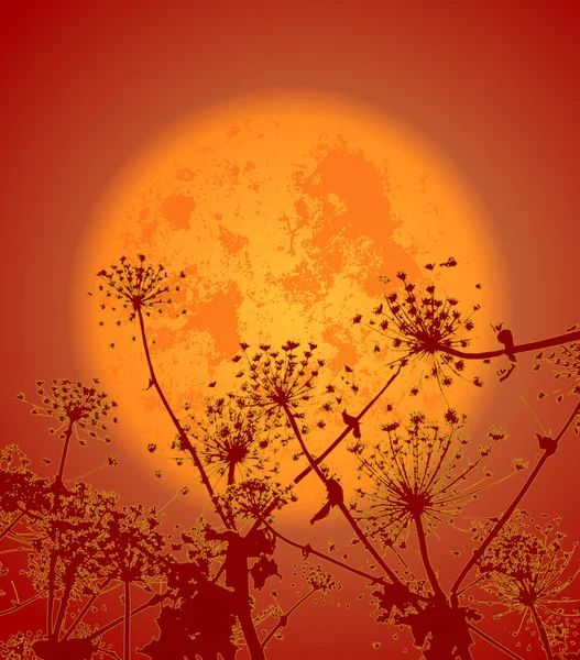 Fleurs dans la nuit01 — Image vectorielle