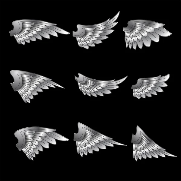 Conjunto de alas — Vector de stock