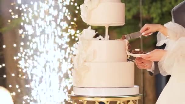 A menyasszony és a vőlegény felvágták az esküvői tortát. Esküvői torta csillagszórókkal. Friss házasok esküvői tortájának felvágása. Vágd fel az esküvői tortát. — Stock videók