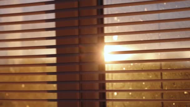 Słońce świecące w odcieniach okien blisko. Abstrakcyjne niewyraźne światło słoneczne przechodzi przez żaluzje okienne i ekran drutu komara. Podczas wschodu słońca, Wnętrze pokoju z widokiem przez okno — Wideo stockowe