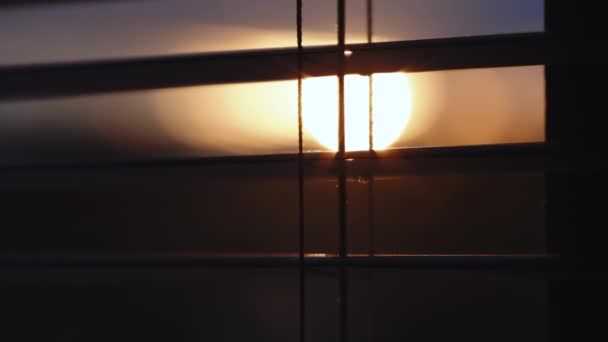 Αφηρημένη θολή ηλιακό φως περνά μέσα από τα blinds παράθυρο και κουνουπιών οθόνη σύρμα. Ο ήλιος λάμπει μέσα από τις σκιές των παραθύρων. Κατά τη διάρκεια της ανατολής του ηλίου, εσωτερικό δωμάτιο κοιτάζοντας έξω από το παράθυρο — Αρχείο Βίντεο