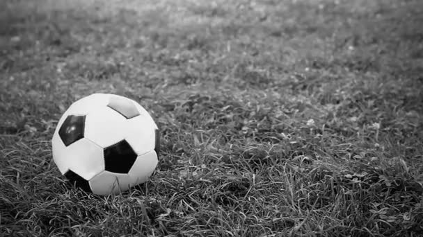 Футбольний м'яч на полі — стокове відео