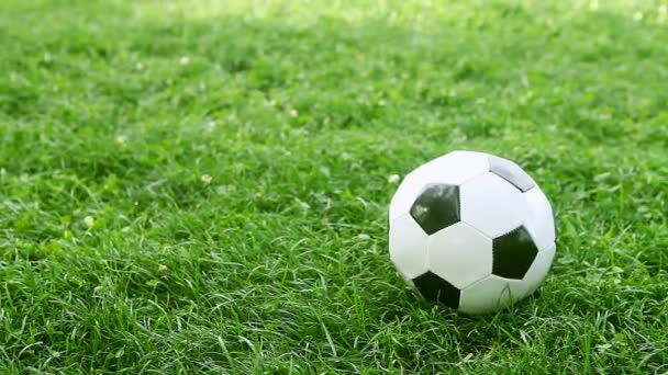 Balón de fútbol en el campo de estadio — Vídeo de stock