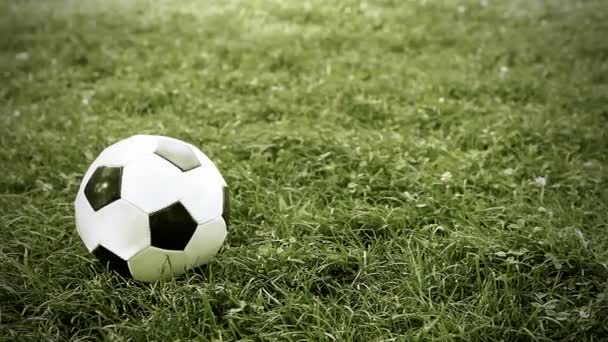 Balón de fútbol en el campo de estadio — Vídeos de Stock