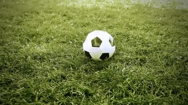 Ballon de football sur le terrain — Video