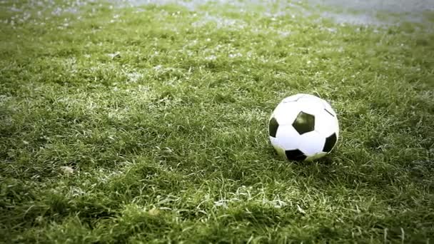 Fußball auf dem Spielfeld — Stockvideo
