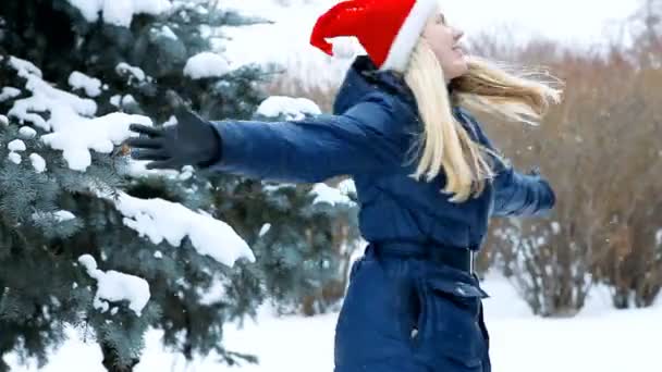 Chica feliz camina en madera de invierno — Vídeo de stock