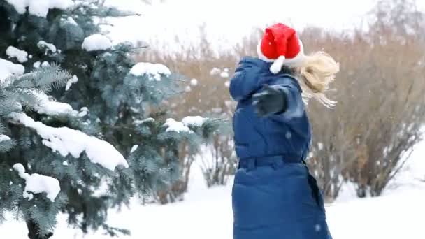 Menina feliz caminha em madeira de inverno — Vídeo de Stock