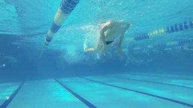 Kelebek stil Yüzme güzel sualtı görüntüleme