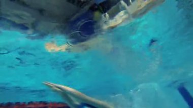 serbest stil Yüzme güzel sualtı görüntüleme