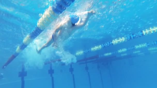 Beautiful underwater view of swimming free style — Stock Video