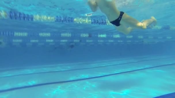 Piękne widoki podwodne pływanie styl breaststorke — Wideo stockowe