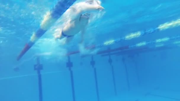 Krásný podvodní pohled plavání volný styl — Stock video