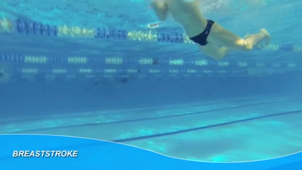 Piękne widoki podwodne pływanie styl breaststorke — Wideo stockowe