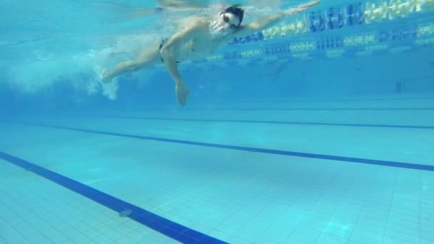 Krásný podvodní pohled plavání volný styl — Stock video