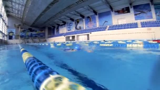 Beautiful underwater view of swimming free style — Stock Video