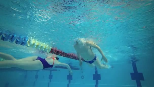 Piękne widoki podwodne pływanie styl motyl — Wideo stockowe