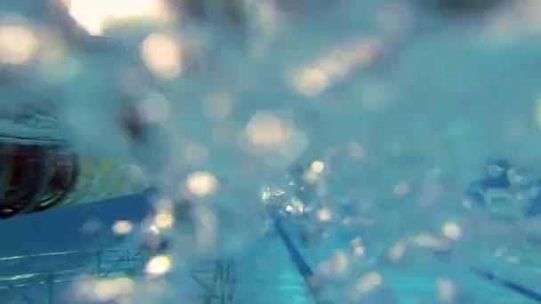 Onderwater uitzicht op zwemmen vrije stijl — Stockvideo