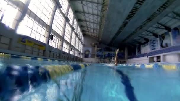 Backstorke スタイルの水泳の美しい水中ビュー — Stock video
