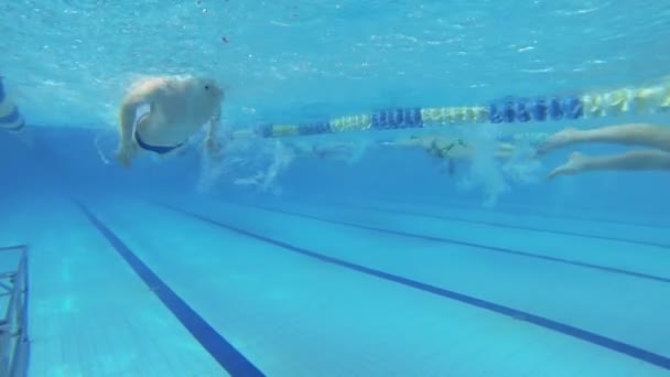 Beautiful underwater view of swimming butterfly style — Stock Video